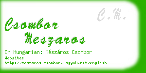 csombor meszaros business card